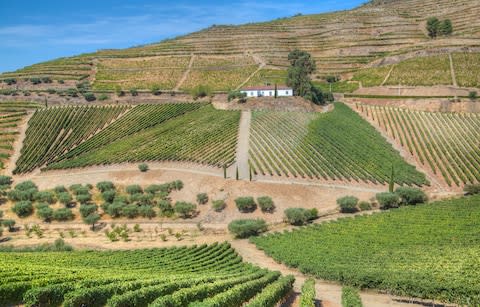 Quinta do Crasto - Credit: Getty