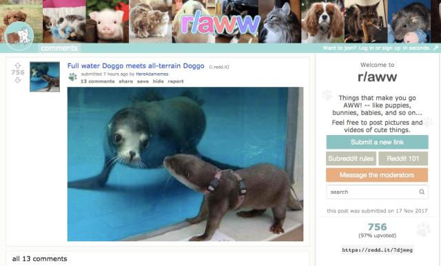12 Best Animal Subreddits, From the Adorable to the Oddly Specific