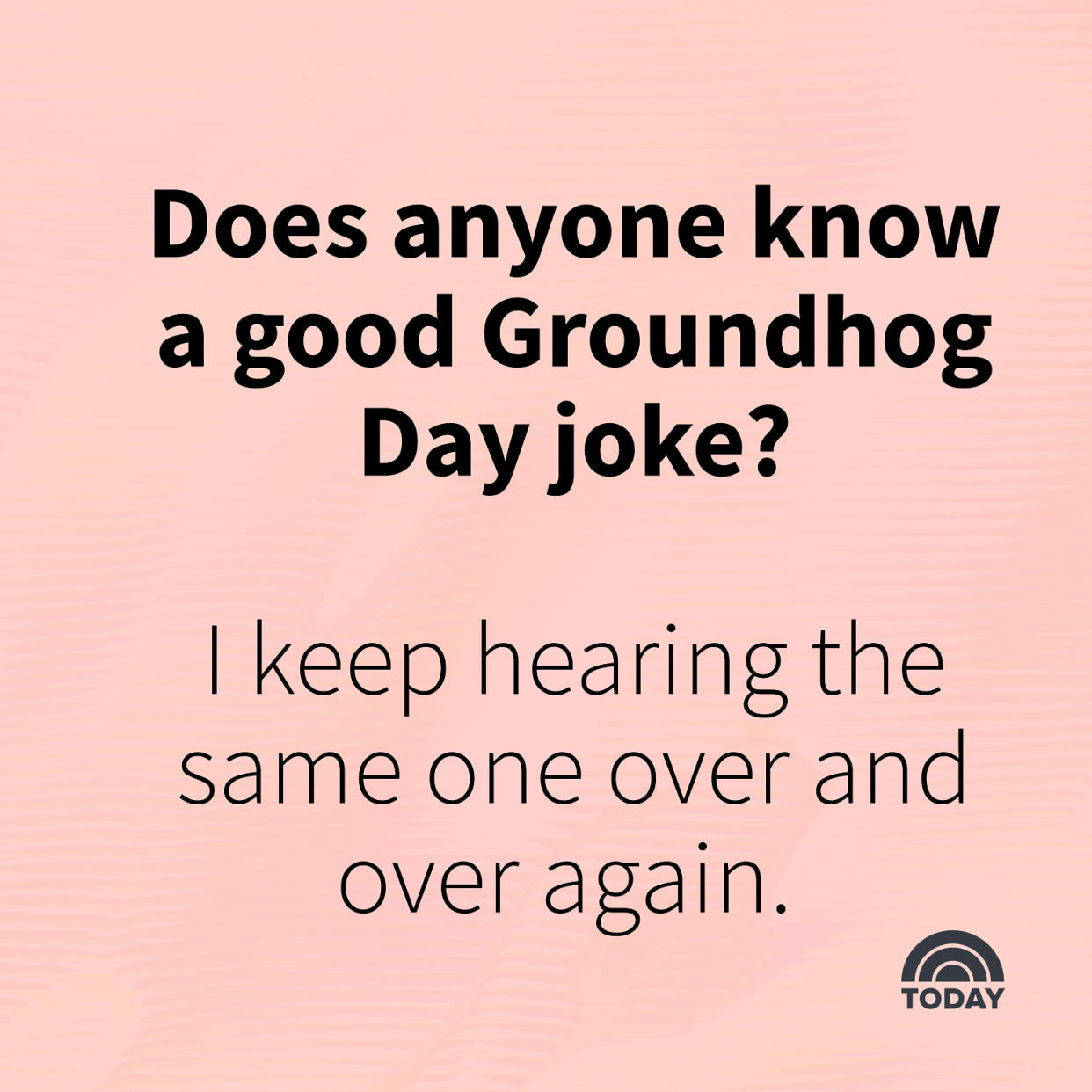 Groundhog Day Jokes