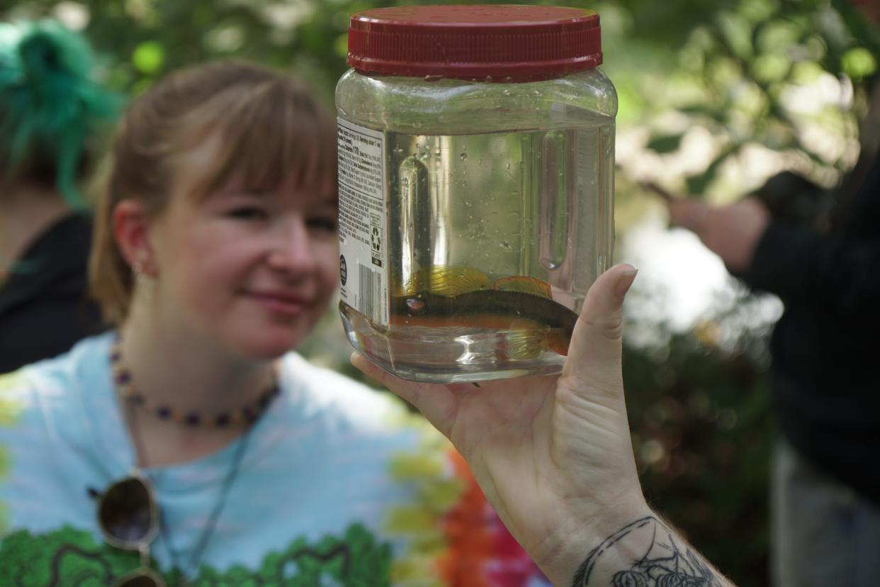 Tangerine darters are important because they diversify the river ecosystem and help mussels mature.