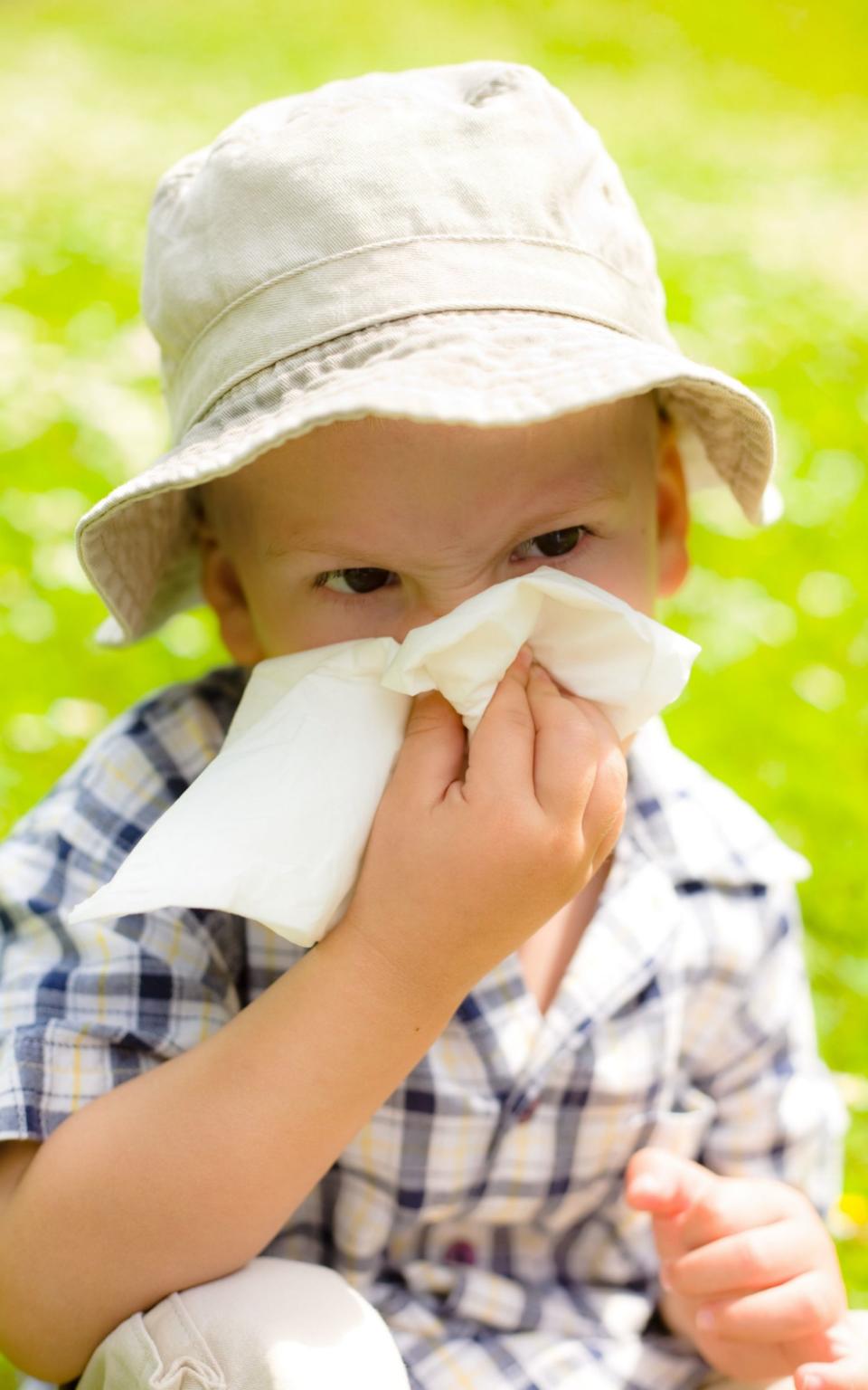 Most hay fever sufferers are allergic to grass pollen - Credit: Alamy