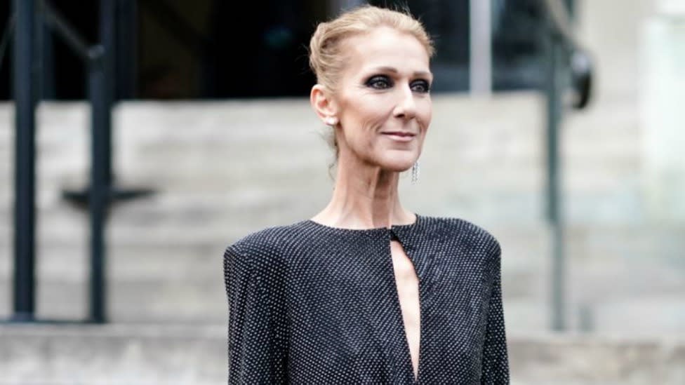 Fans are concerned over a new photo of a frail looking Celine Dion