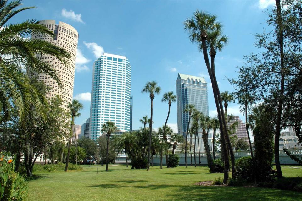 Downtown Tampa as seen from Plant Park