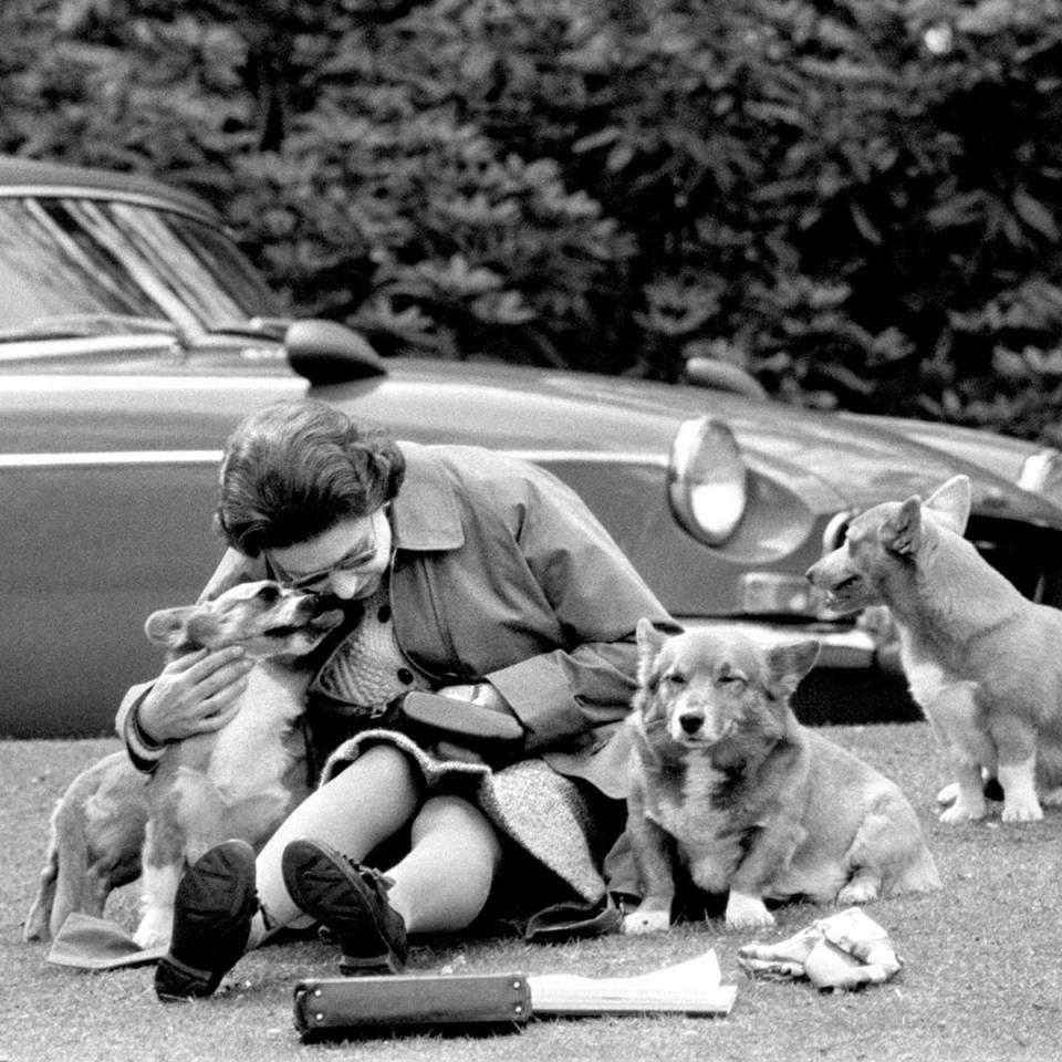 The Queen sitting with her corgis at Virginia Water to watch competitors, including Prince Philip in the Marathon of the European Driving Championship, part of the Royal Windsor Horse Show in 1973 (PA)