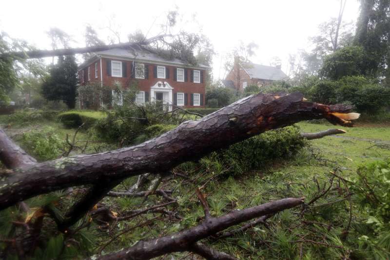 颶風「佛羅倫斯」造成北卡羅萊納州濱海小鎮威明頓的樹木倒塌（AP）