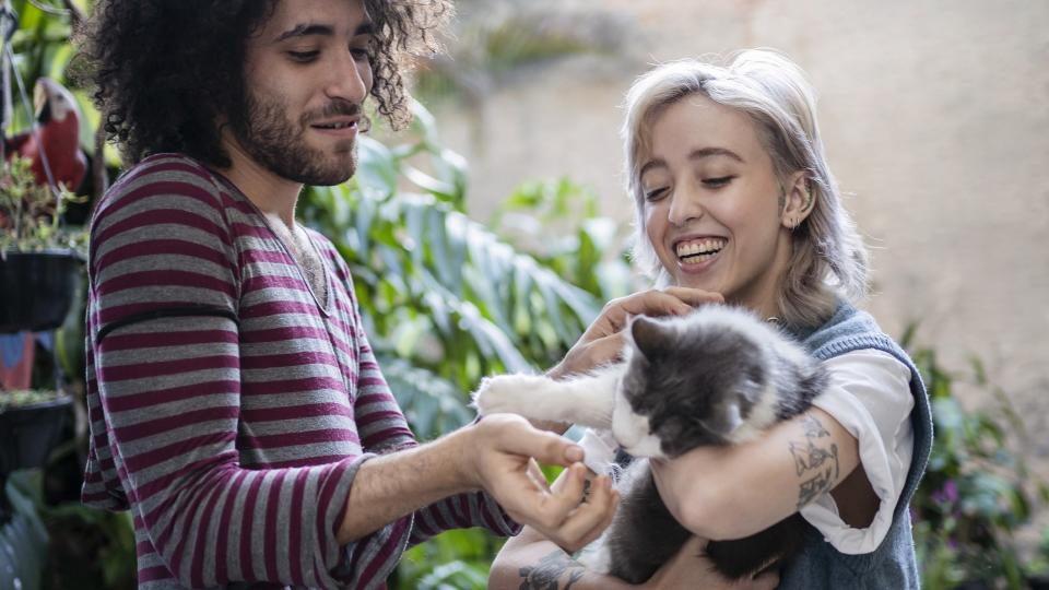 two people smile and pet a cat who is being held