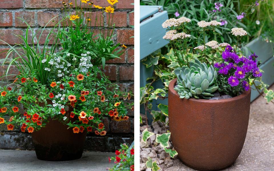 Feature pot ideas for summer, crafted by Loades  - Neil Hepworth