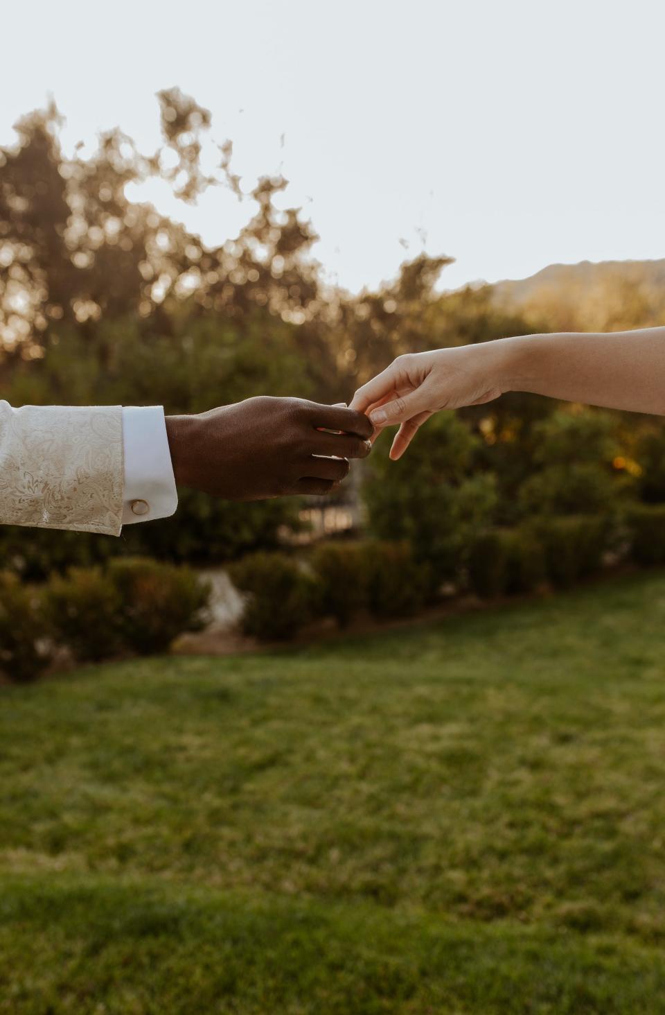 A black hand and a white hand reach towards each other in front of a field.