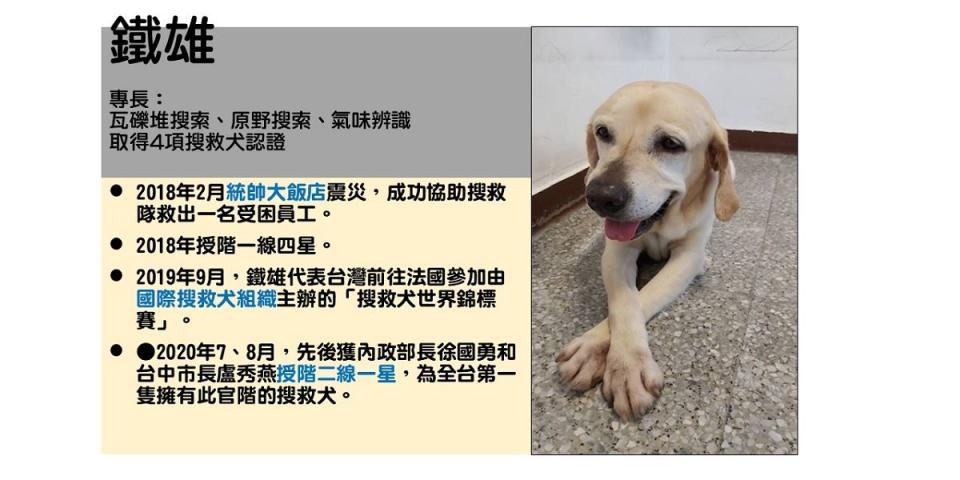 「鐵雄」擁有4項搜救犬認證，參與2018年花蓮震災時，成功救出一名受困者。（翻攝自台中消防局臉書）