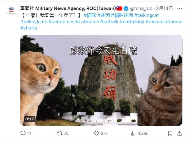 可能是貓和顯示的文字是「軍聞社 Military News Agency, ROC(Taiwan) @mna_roc 3月14日 【什麽! 我要當一年兵了？】 #貓咪 #迷因› #貓咪迷因 #talkingcat #talkingcats #catmemes #catmeme #cattalk #cattalking #memes #meme #shorts 原來你今天生日哦 安民 功 成 演 0:17 41 t775 75 277 山 4.3萬」的圖像