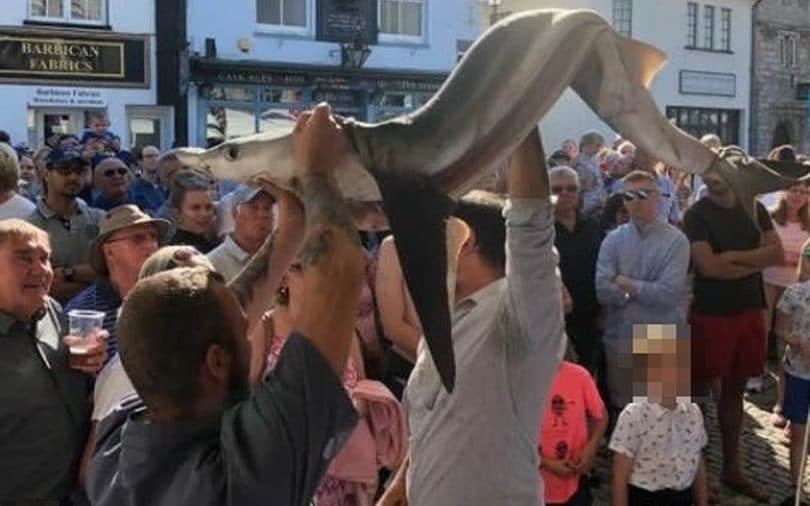 The restaurant behind the stunt argued the shark was by-catch - Instagram