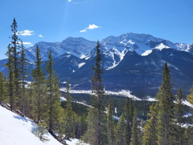 Despite sunny weather in southern Alberta on Saturday, winter is not done with the region yet. (Sarah Rieger/CBC - image credit)