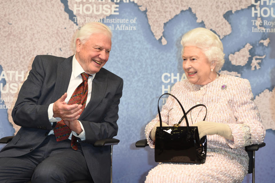 LONDON COLNEY, ENGLAND - NOVEMBER 20: Queen Elizabeth II presents the Chatham House Prize 2019 to Sir David Attenborough at the Royal institute of International Affairs, Chatham House on November 20, 2019 in London Colney, England. (Photo by Eddie Mulholland - WPA Pool/Getty Images)