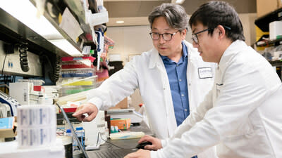 Jae Kyu Ryu, left, and Zhaoqi Yan, right, collaborate in the Gladstone lab of Katerina Akassoglou.