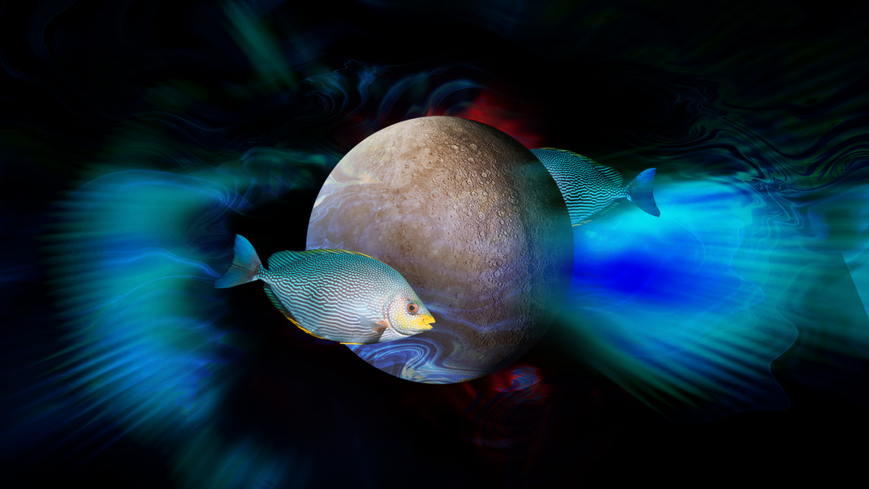 a fish swimming by the moon