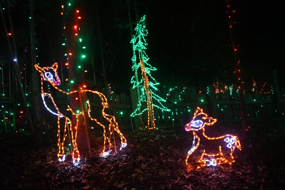 The Holiday Light Safari at the Alexandria Zoo will be held select nights in November and December.