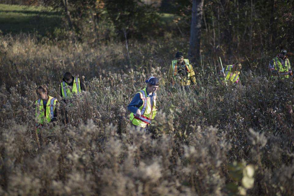 A group of volunteers searched the ditches along highway 8 Thursday, Oct. 18, 2018, in Barron, Wis., near the home where 13-year-old Jayme Closs lived with her parents James, and Denise. (Jerry Holt /Star Tribune via AP)