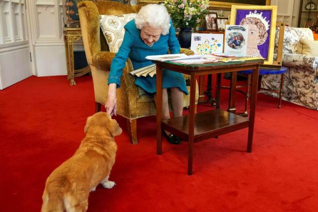 La reina Isabel II acariciando a Candy, su perra Dorgi, mientras mira una exhibición de recuerdos de sus jubileos de oro y platino, en Oak Room en el Castillo de Windsor en Londres, el 4 de febrero de 2022
