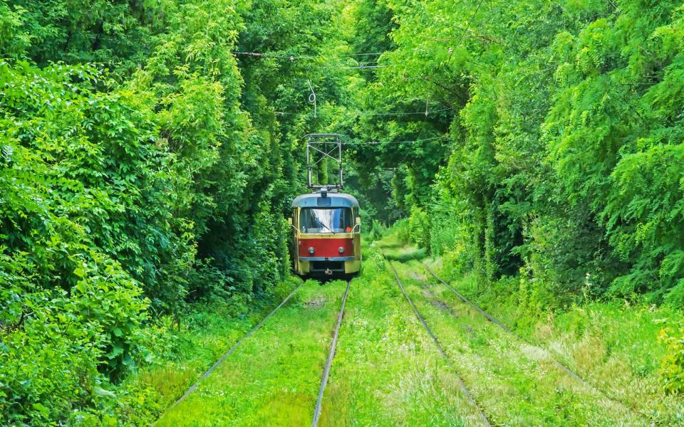 Tunnel of Love, Ukraine