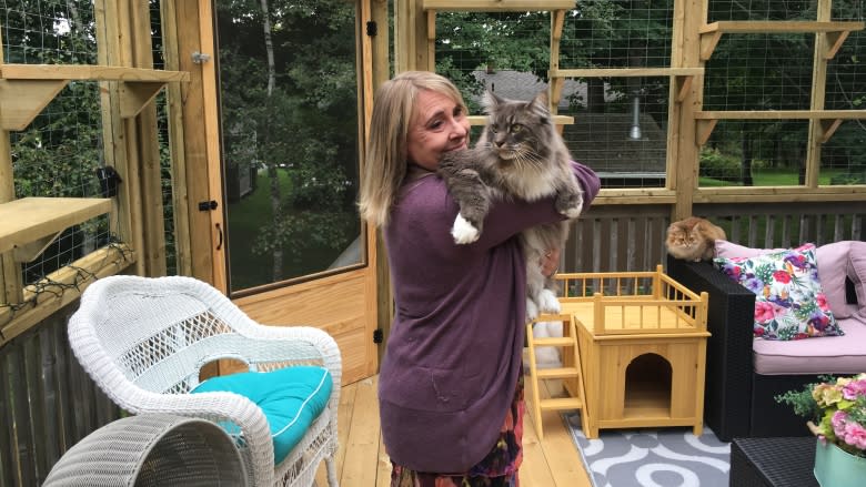 Catio living: Why a P.E.I. woman built a patio for her cats