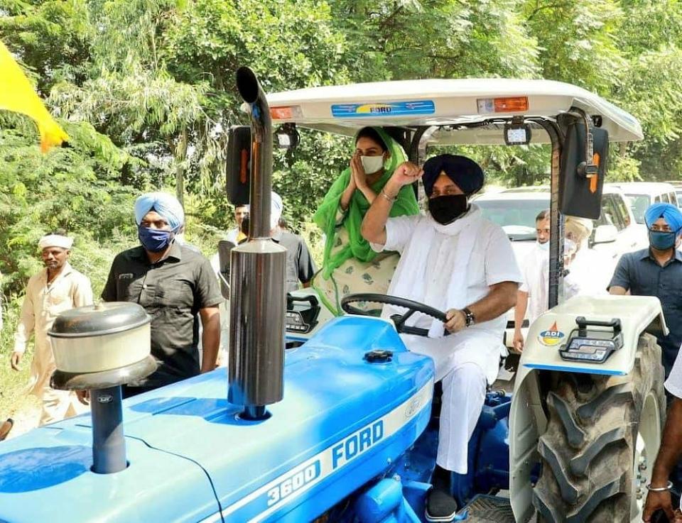 Sukhbir Badal and Harsimrat Kaur protested in a tractor during the 25 September Bharat Bandh