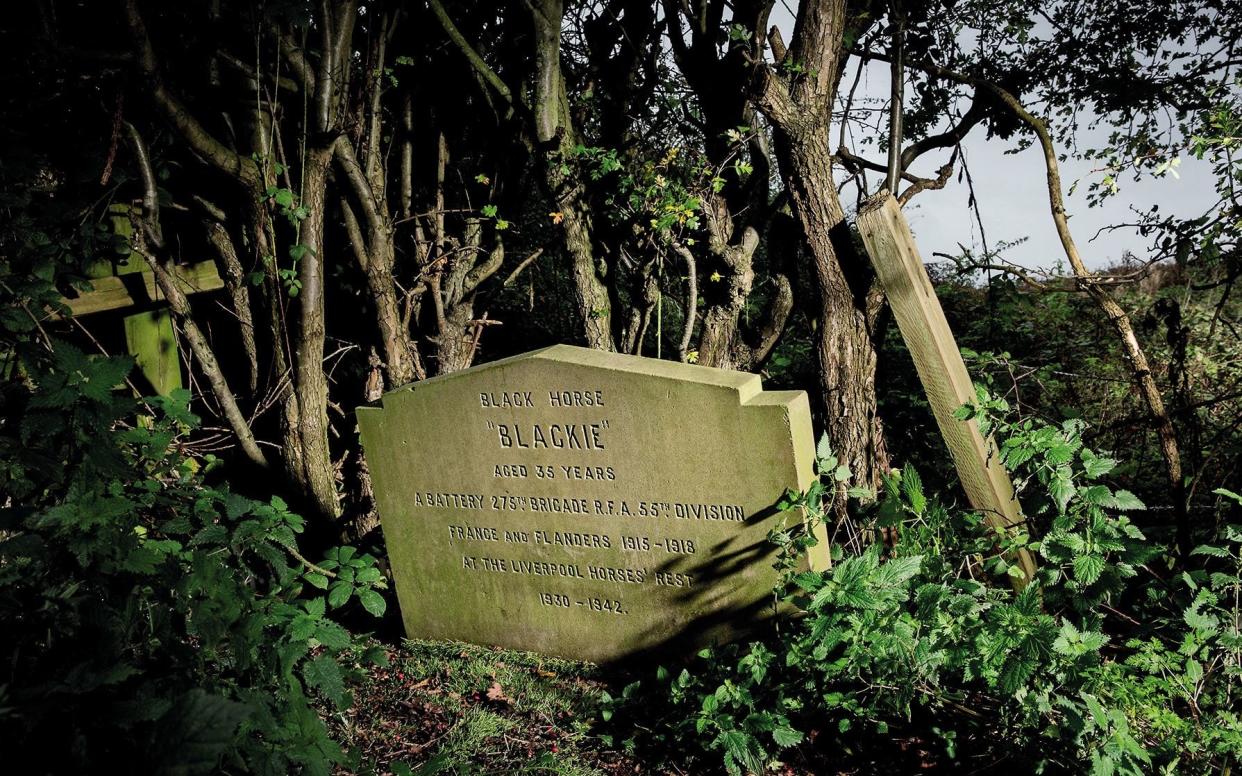 The grave of 'Blackie' the black war horse - Â© Historic England Archive, Alun Bull