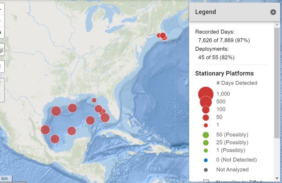 An interactive map from National Oceanic and Atmospheric Administration shows sperm whale populations in the Gulf of Mexico.