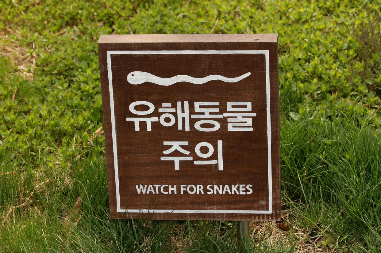 Korea snake warning