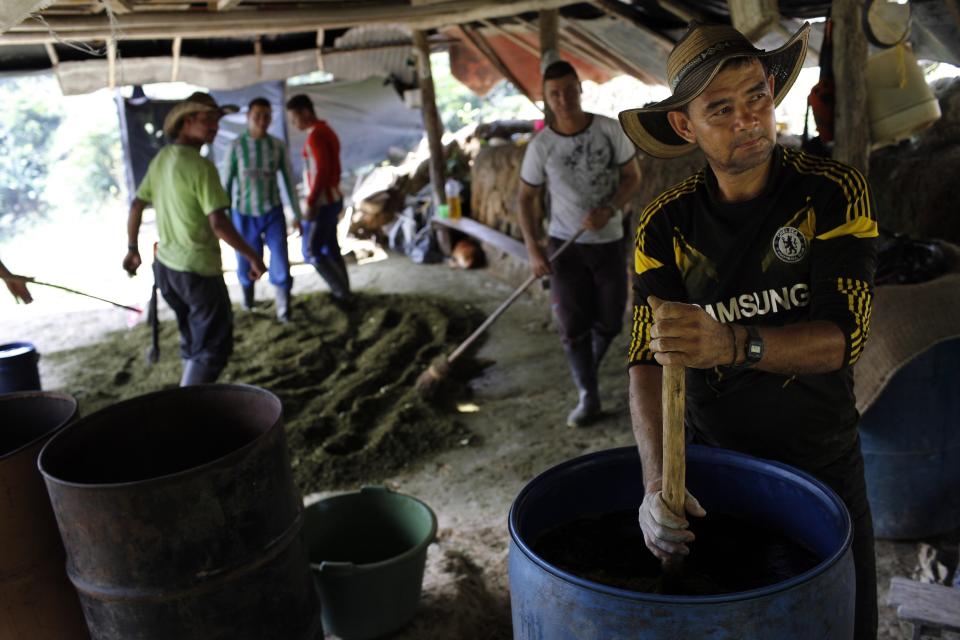 Colombia cocaine production