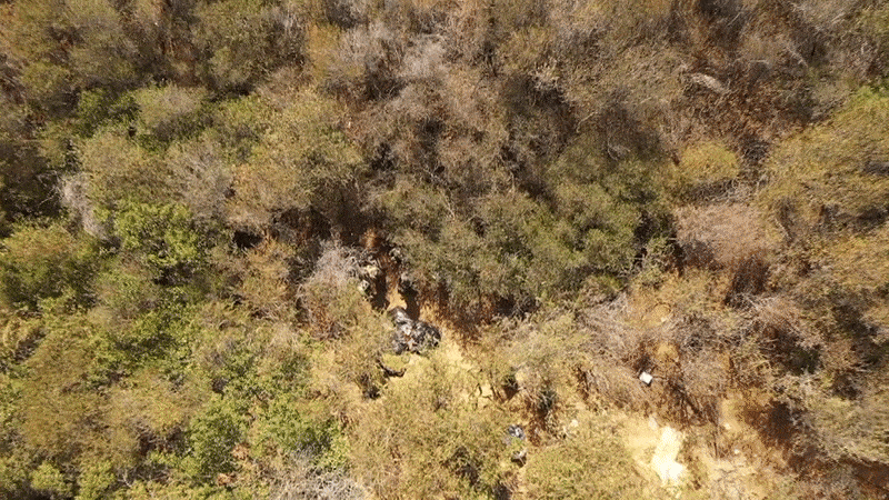 Image: Aerial footage of the illegal grow site in Cleveland National Forest visited by NBC News on Oct. 6, 2021. (NBC News)