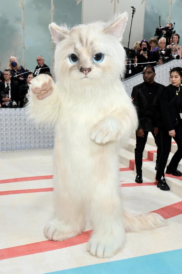 Jared Leto prowls into 2023 Met Gala in fullbody cat costume