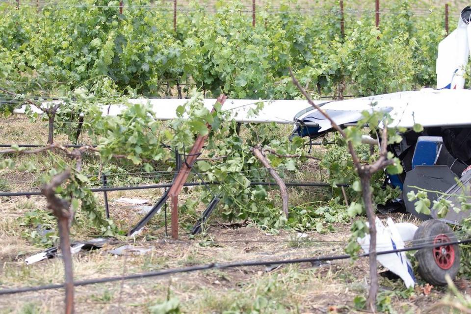 A small plane crashed in the vineyard beside the private airport at Halter Ranch winery in the hills west of Paso Robles, California, on Saturday, June 8, 2024.