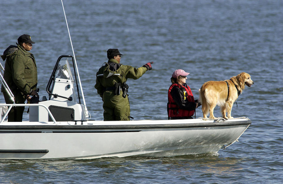 A search team uses a cadaver dog to try to locate the bodies of three missing people at Inner Harbor in Baltimore, March 7, 2004