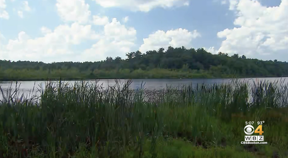 Pictured is Island Creek Pond in Massachusetts, where Jack Callahan allegedly killed his father.