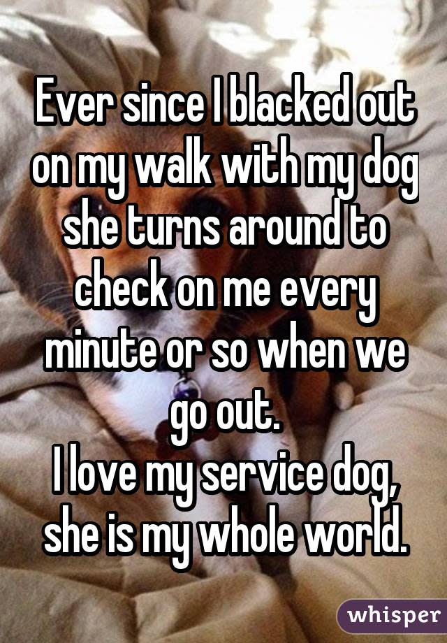 Ever since I blacked out on my walk with my dog she turns around to check on me every minute or so when we go out. I love my service dog, she is my whole world.