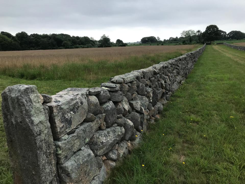 A farm lane lined with two long, low stone walls bisects the farm fields in the Winnapaug Pond Farm Preserve in Westerly.