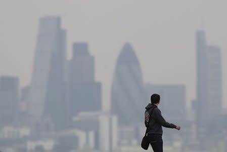 A man walks through Greenwich Park as a haze of pollution sits over the London skyline April 3, 2014.  REUTERS/Luke MacGregor