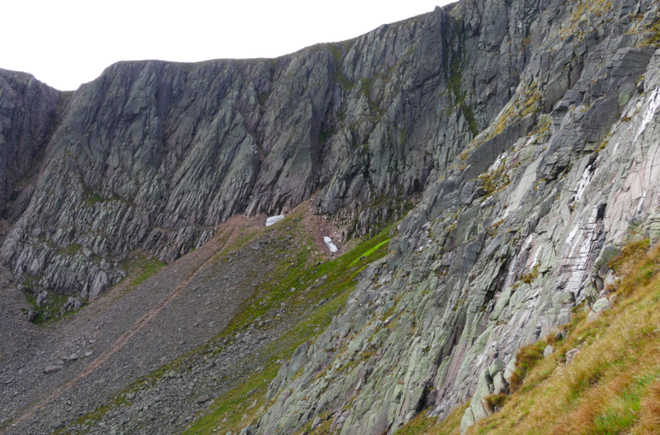 <em>The patch is situated at Garbh Choire Mor on Braeriach in the Scottish Cairngorms (SWNS)</em>