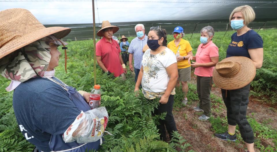 Farmworkers in Florida must brave deadly working conditions in summer heat.