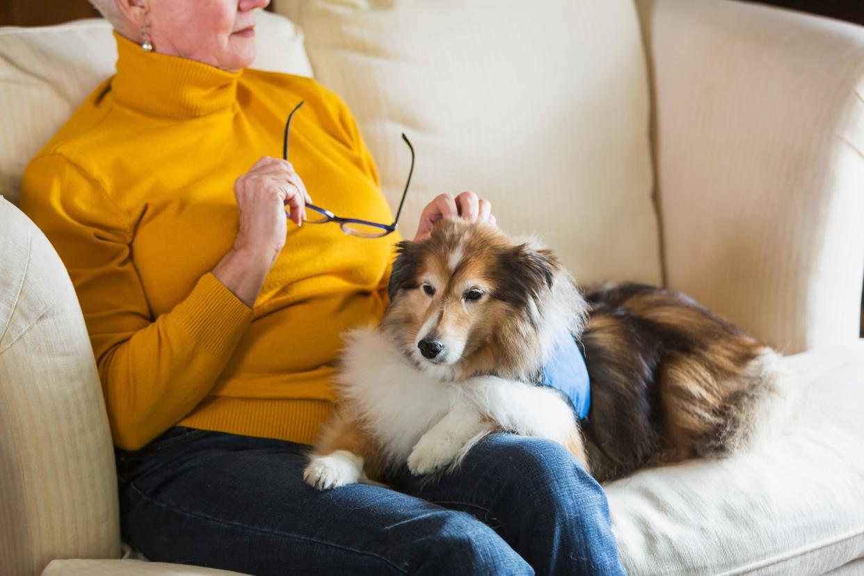 Volunteer handlers and therapy pets are trained to engage with patients of any capacity.