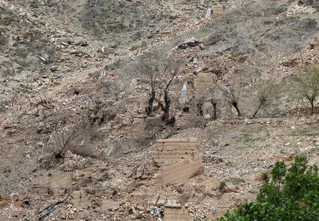 Burn trees are seen the site of a MOAB, or ''mother of all bombs'', which struck the Achin district of the eastern province of Nangarhar, Afghanistan April 23, 2017. REUTERS/Parwiz