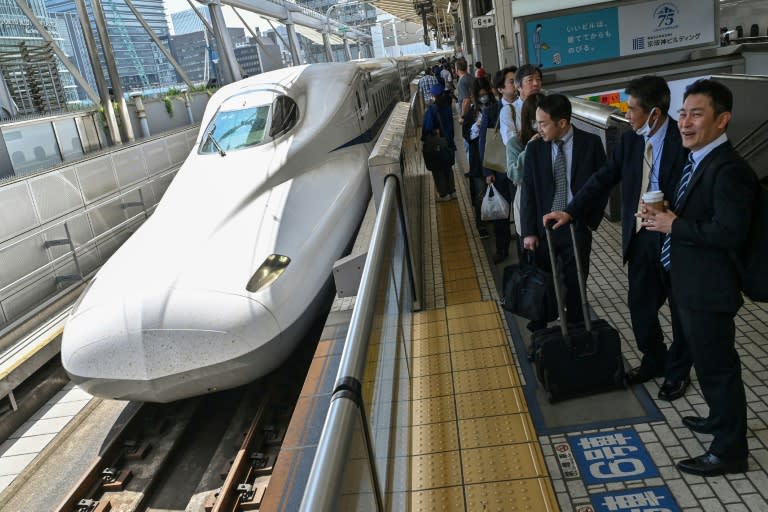 Eine Schlange an Bord hat den für seine Pünktlichkeit weltberühmten japanischen Hochgeschwindigkeitszug Shinkansen ausgebremst. Ein Passagier hatte nach Angaben der Betreiberfirma eine 40 Zentimeter lange Schlange in einem Zug entdeckt. (Richard A. Brooks)