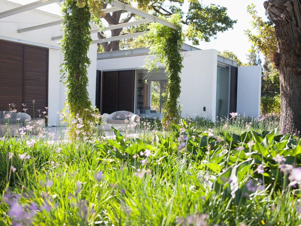 Patio and garden in rear of modern home