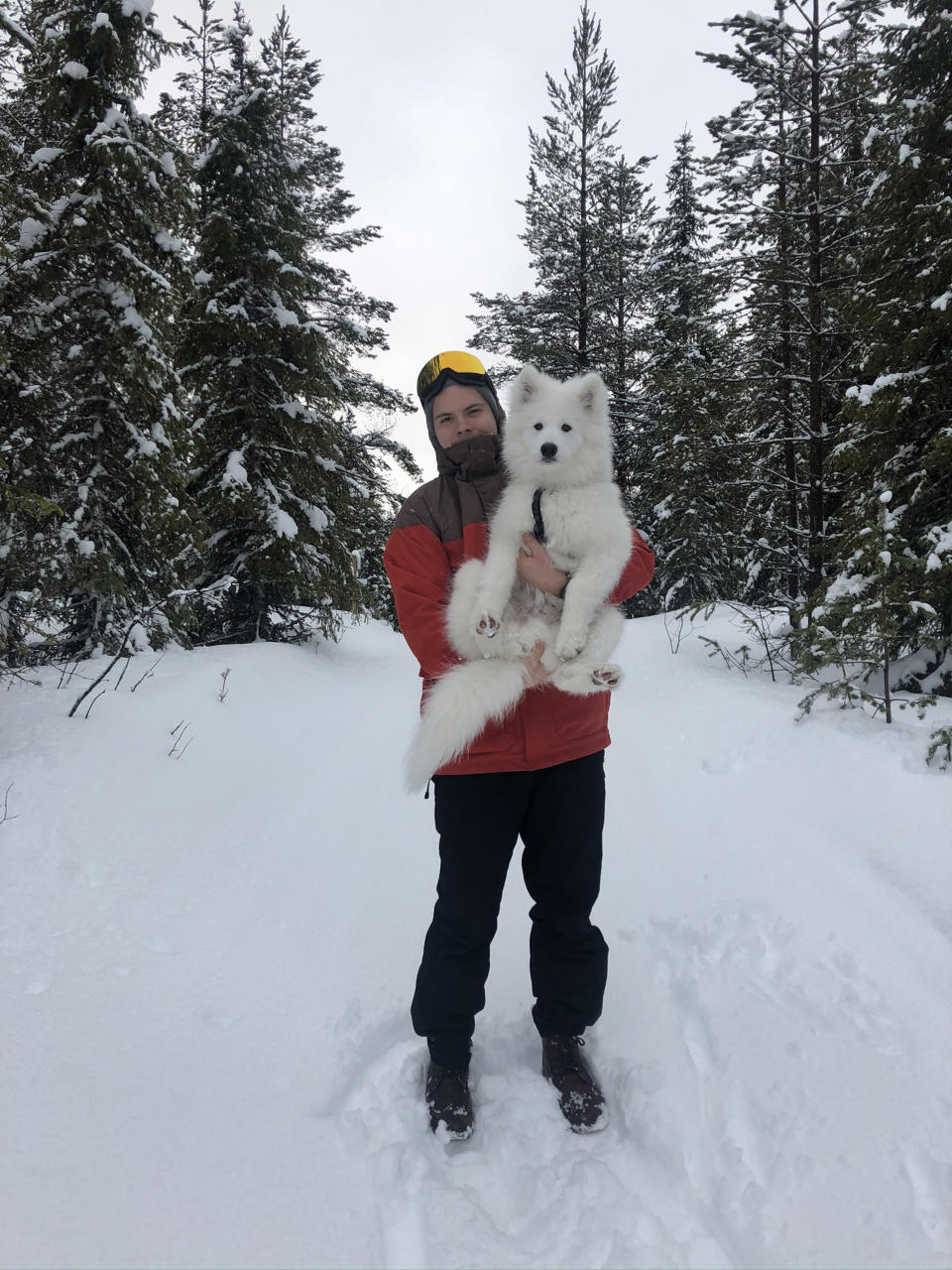 Hier ist die Welt noch in Ordnung: Weißer Hund, weißer Schnee. (Bild: Caters)