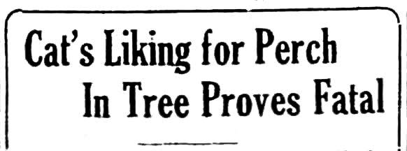 Ripped from the Headlines, March, 1924.