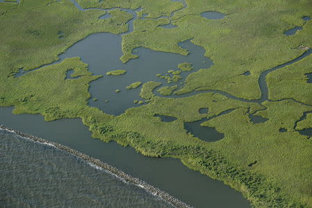 Rock dams are seen protecting the marsh in St. Bernard Parish, Louisiana, August 25, 2015. REUTERS/Jonathan Bachman