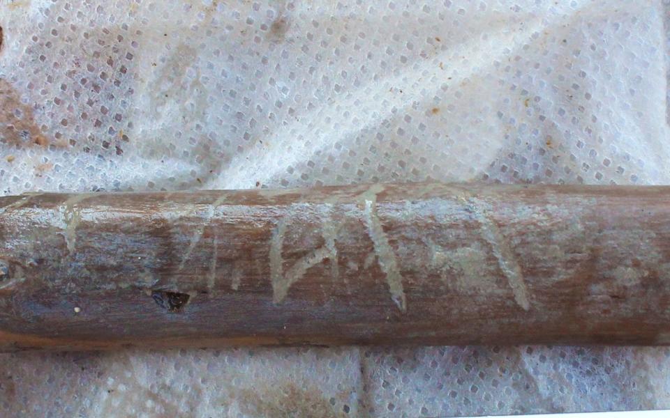 The small piece of wood with inscription in Etruscan letters - Soprintendenza Speciale di Roma