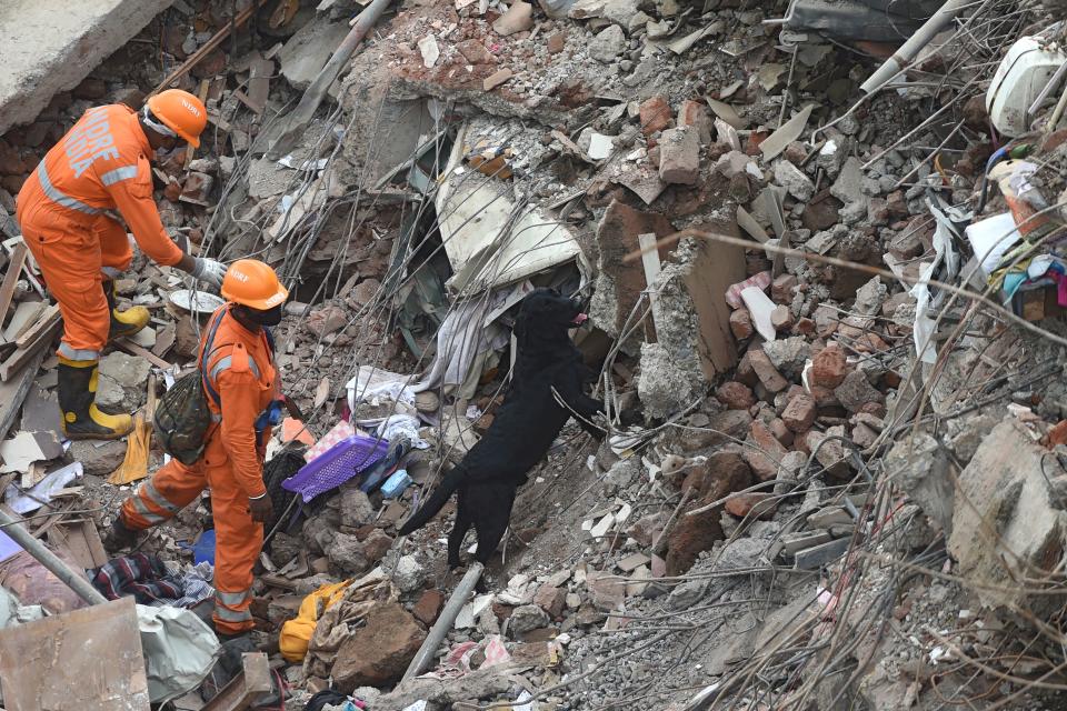 Rescue workers along with a sniffer dog search for survivors in the rubble of a collapsed five-storey apartment building in Mahad. (Photo by PUNIT PARANJPE/AFP via Getty Images)