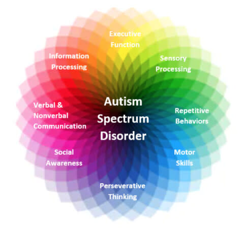 自閉症譜系（Autism spectrum）是一種心理狀況的譜系障礙