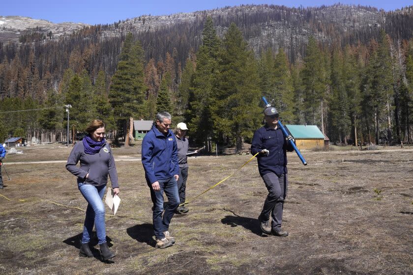 Crossing a meadow normally covered in snow, Karla Nemeth, director of the state Department of Water Resources, left, Wade Crowfoot, Secretary for Natural Resources, second from left, and accompany Sean de Guzman, manager of snow surveys and water supply for the California Department of Water Resources, right, as he conducts the fourth snow survey of the season at Phillips Station near Echo Summit, Calif., on Friday, April 1, 2022. California is experiencing one of the driest starts to spring in decade. Data released Friday showed the water in California's mountain snowpack sat at 38% of average. (AP Photo/Rich Pedroncelli)